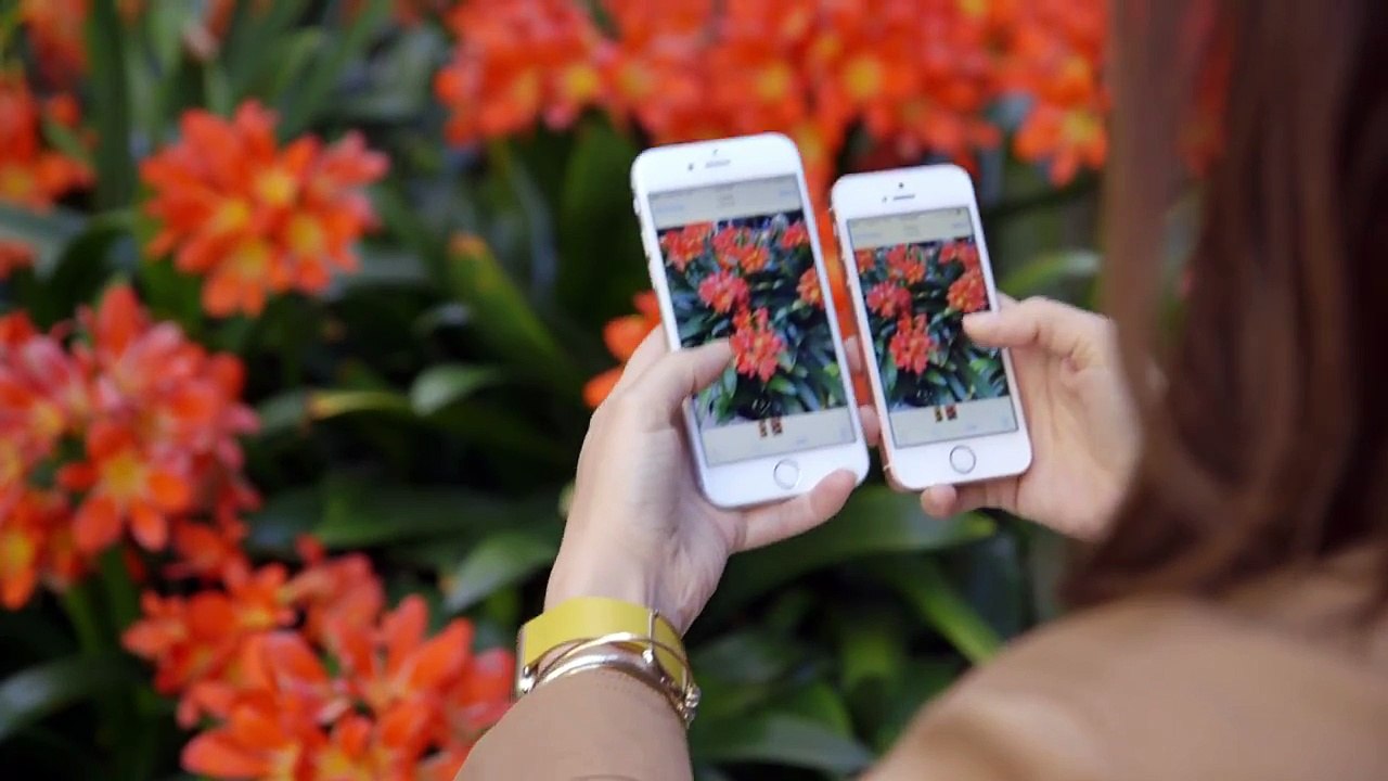 iPhone SE review