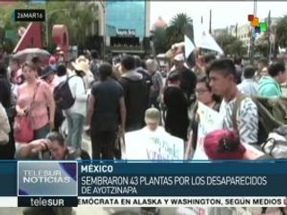 México: siembran 43 plantas por los desaparecidos de Ayotzinapa