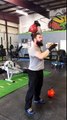 32kg Cotton Gloved Snatch for Grip and Form Endurance