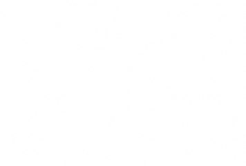 A Milli Futbol Takımı Avusturya'ya Gitti