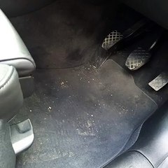 Pearl Waterless International Products