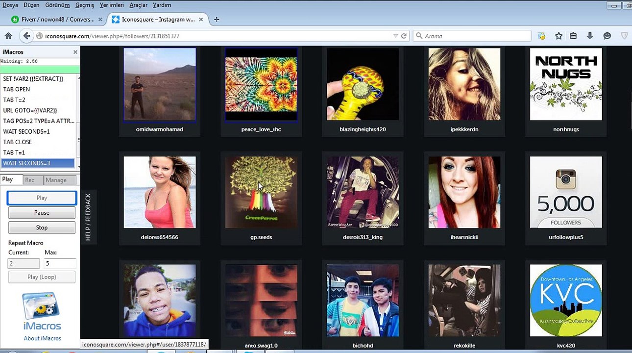 iconosquare auto follow