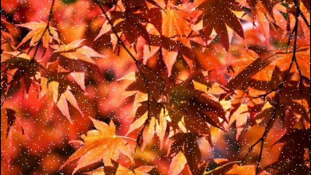 Bharat Maa Shero Wali Hai - Desh Bhakti Song- भारत माँ शेरो वाली है -देश भक्ति गीत -Music On || Rani Studio Kari || From - Aryaveerdalkari- +919814556375