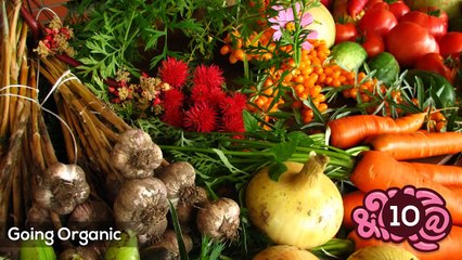 10 Things We Do That Destroy The World