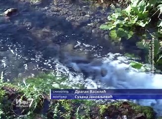 Info 7, 27. mart 2016. (RTV Bor)