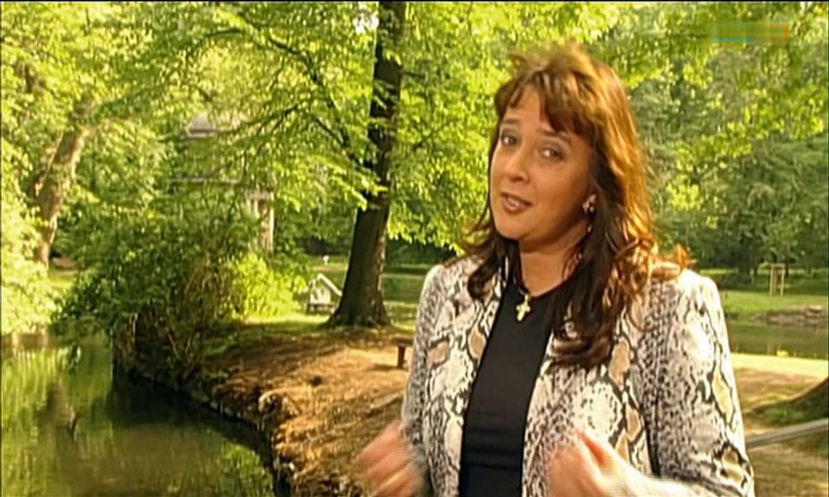 Du hast mich belogen 2004