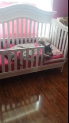 Sa fille est en train de faire la sieste mais le silence présent dans la maison l’inquiète sérieusement...