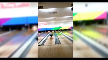 Funny bulldogs!! Part 2. Compilation videos