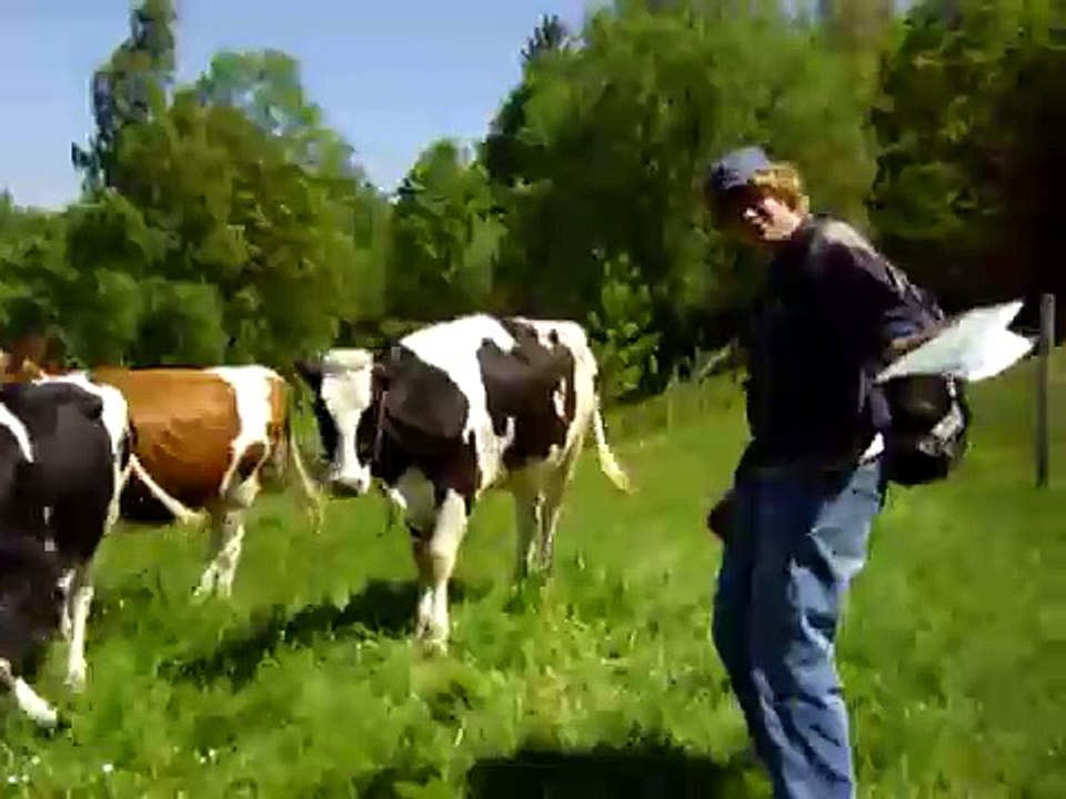 Tunders Kuh Dänce