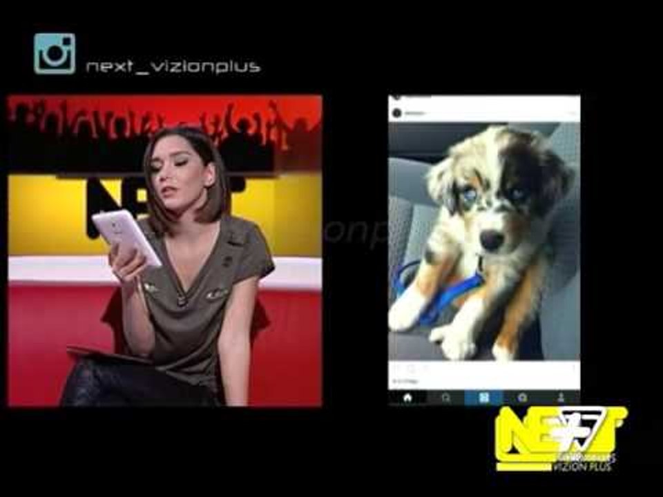Next - 27 Nëntor Pj2 2015 - Show - Vizion Plus