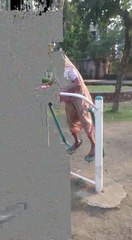 the fun ....... enjoy