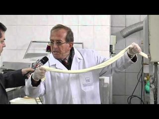 Report TV - Made in Albania viziton fabrikën "Mozzarella Italia" në Shkallnur, Durrës