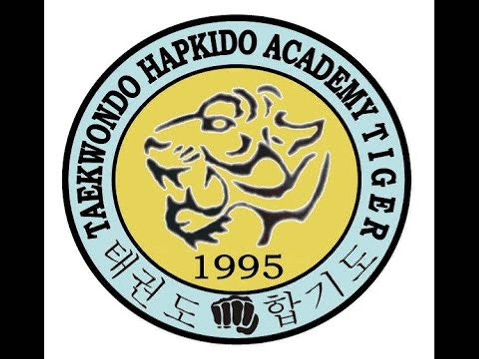 Taekwondo Hapkido Academy Tiger - 20 Anniversary