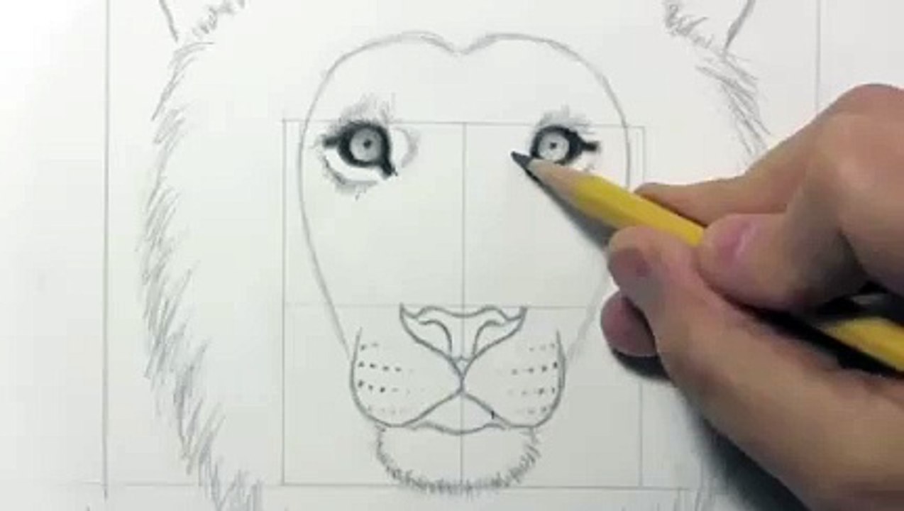Drawing a lion_clip14