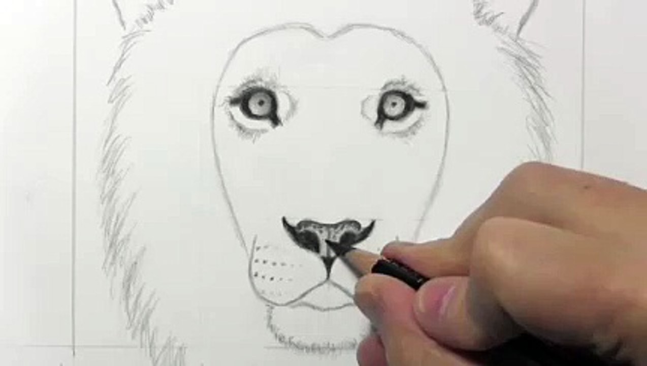 Drawing a lion_clip18
