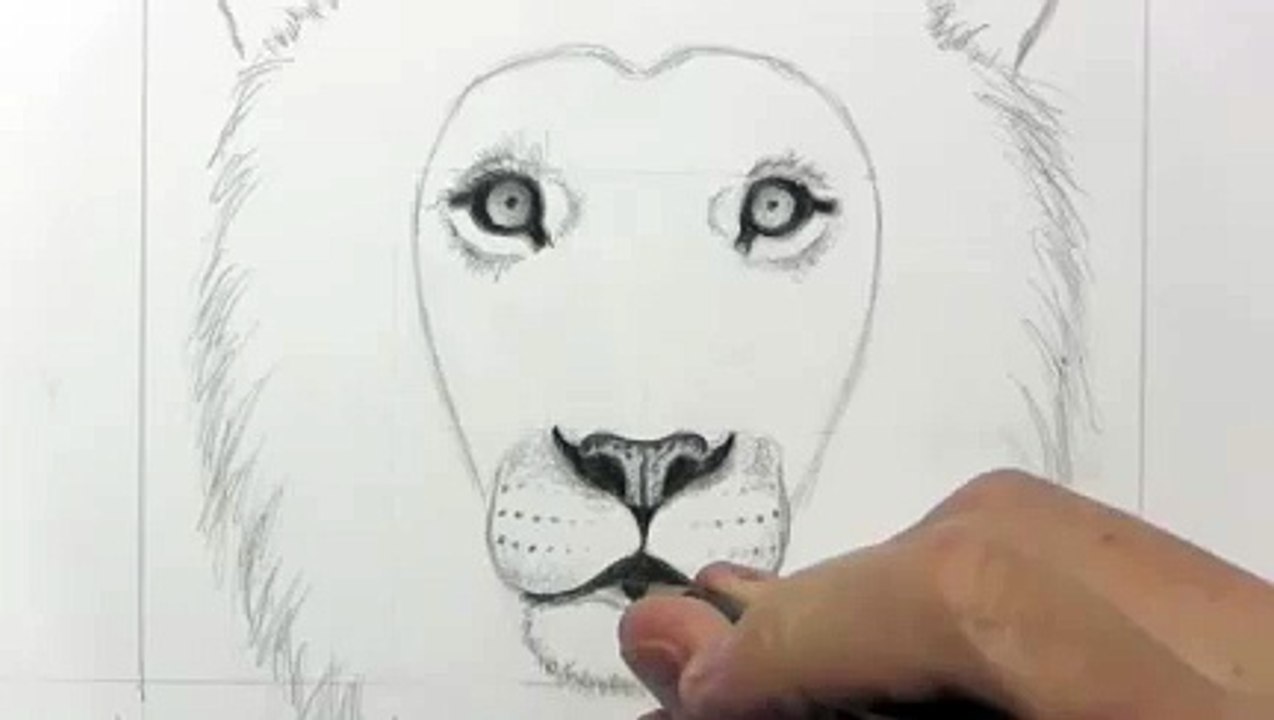 Drawing a lion_clip20