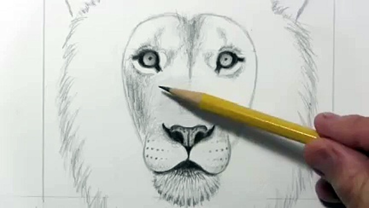 Drawing a lion_clip28