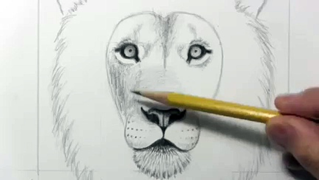 Drawing a lion_clip29