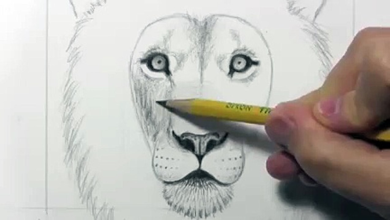 Drawing a lion_clip30