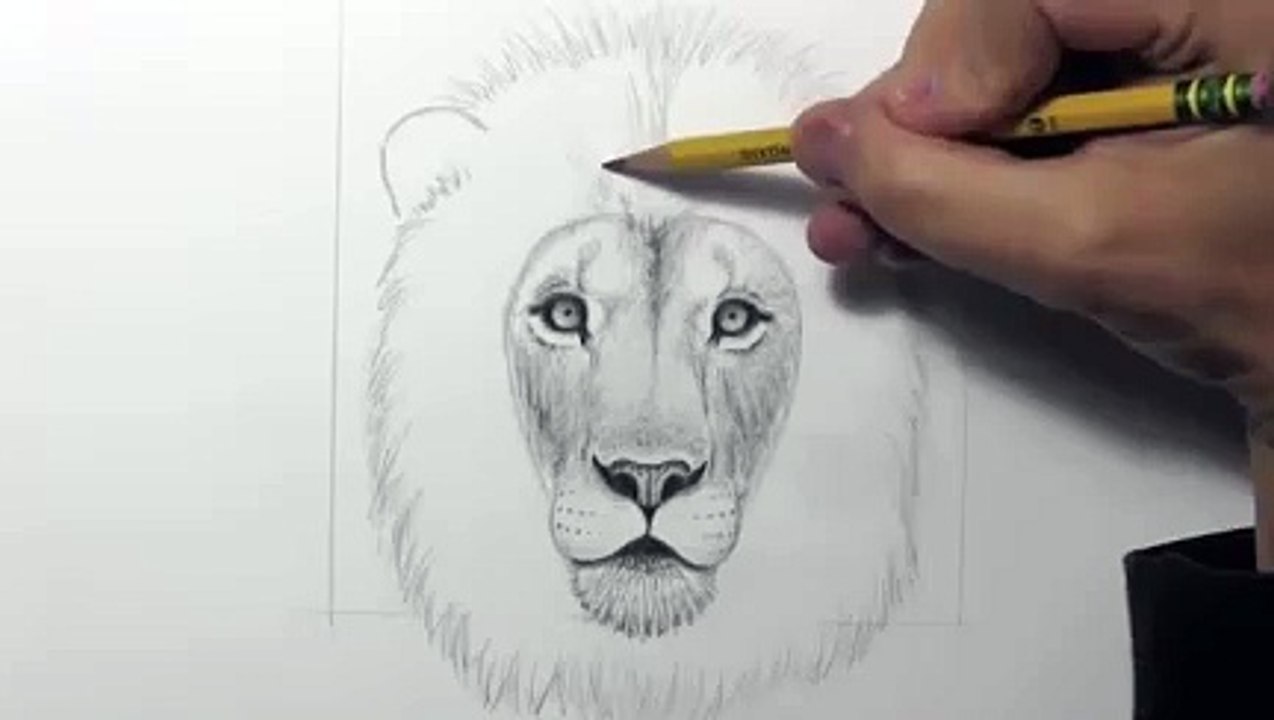 Drawing a lion_clip33