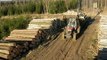 Belarus Mtz 892.2 difficult conditions in wet forest