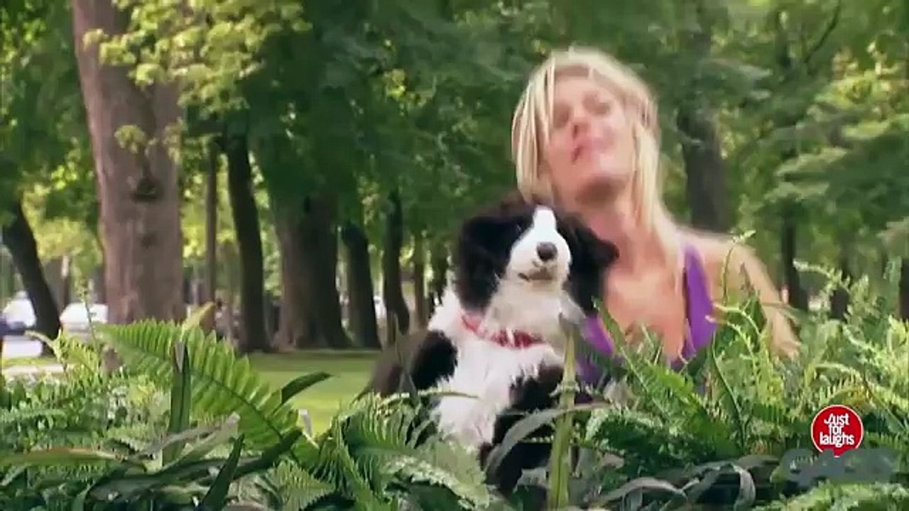 Köpeklere Yapılan Sahte Köpek Şakası :D