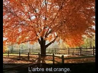 Français et Portugais A1 Leçon 3