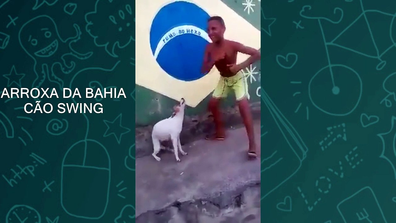 Vídeos Engraçados Whatsapp Funny Fails Videos Risa Compilations 2016 Risas e Chistosos e G