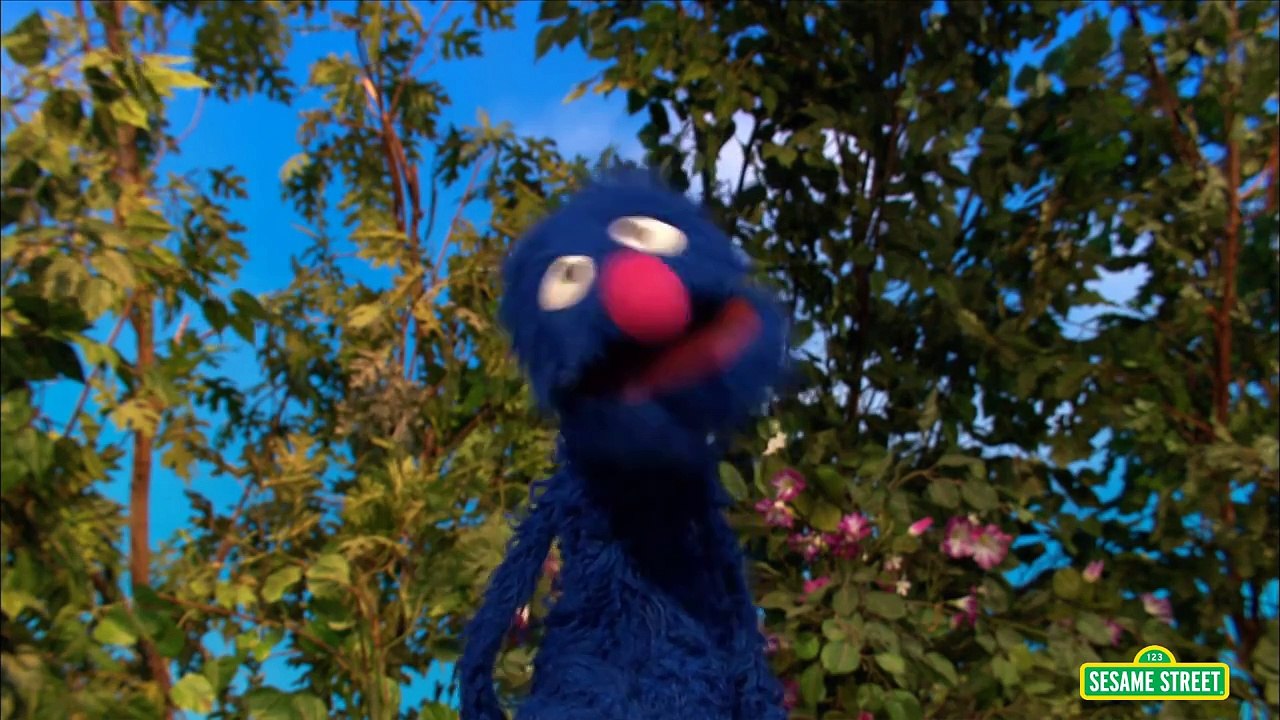 Sesame Street: Grover Jumps for Joy