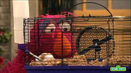Sesame Street Telly Gets Jealous