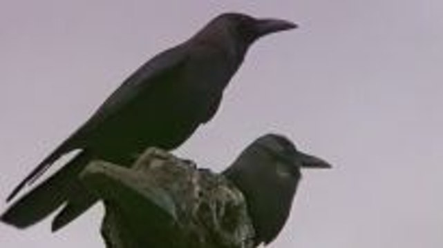Sri Lanka im Indischen Ozean