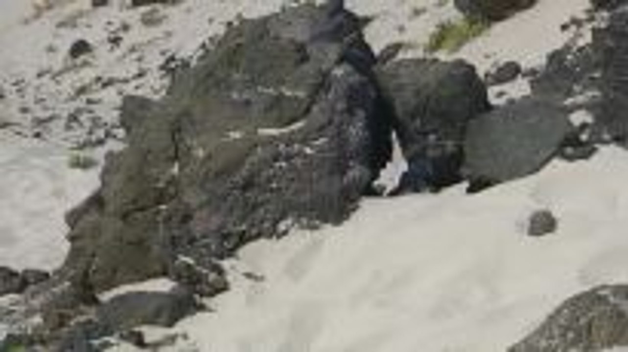 Lanzarote, die Nördlichste der Kanarischen Inseln