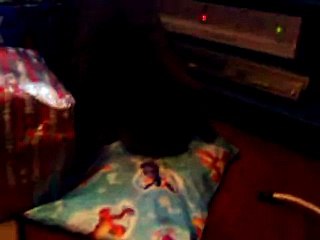 cat opening her christmas present