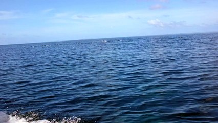 First Approach to the Problem