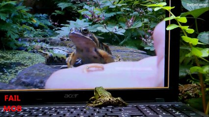 Animals Playing on iPads Compilation 2014 - pt 2 DOGS