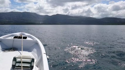 Second Approach to the Problem