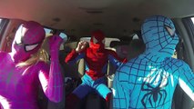 SPIDER FAMILY CAR DANCE SPIDERMAN VS PINK SPIDERGIRL VS SPIDERKID FUNNY SUPERHERO MOVIES  REAL LIFE