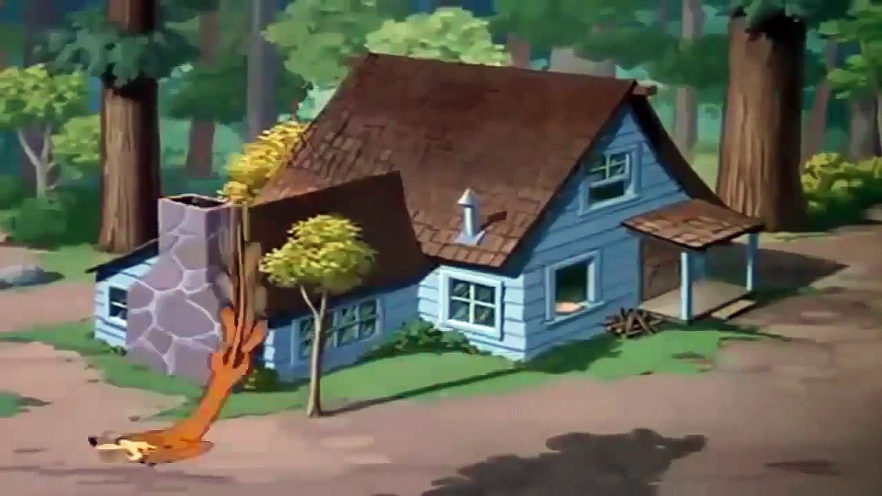 Donald Duck Chip an Dale Cartoon Movies s in english 1