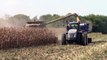 New Holland CR8090 Combine Harvesting Corn Unloading on the Go