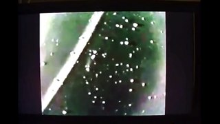 New Strange UFO Orb filmed by ISS & NASA from Earth Orbit - Oct 2015 !!!