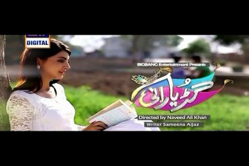 Gudiya Rani Episode 187 on Ary Digital Top Pak Drama - 28 Mar 2016