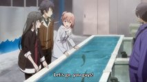 Oregairu 13 - Penguin Example