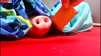 ЛУЧШИЕ ПРИКОЛЫ ЗА НЕДЕЛЮ (выпуск 3)