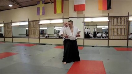 Техника Айкидо. Механика. Методика преподавания. 53