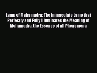 Download Lamp of Mahamudra: The Immaculate Lamp that Perfectly and Fully Illuminates the Meaning