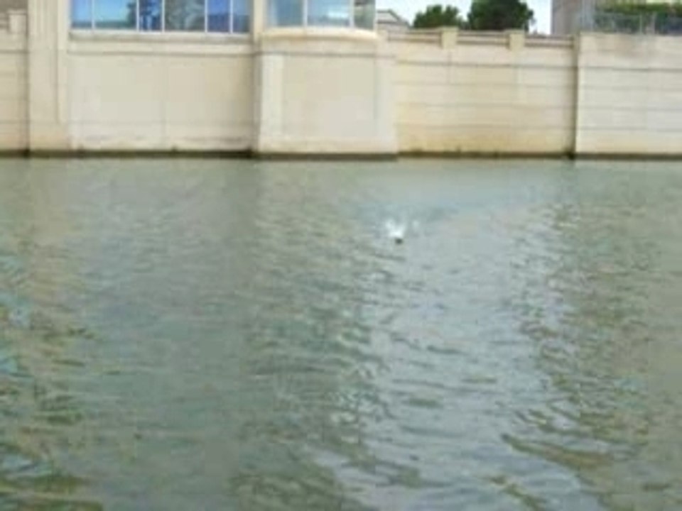 test03-poulpito evo 6éléments avec gouvernail rectifié