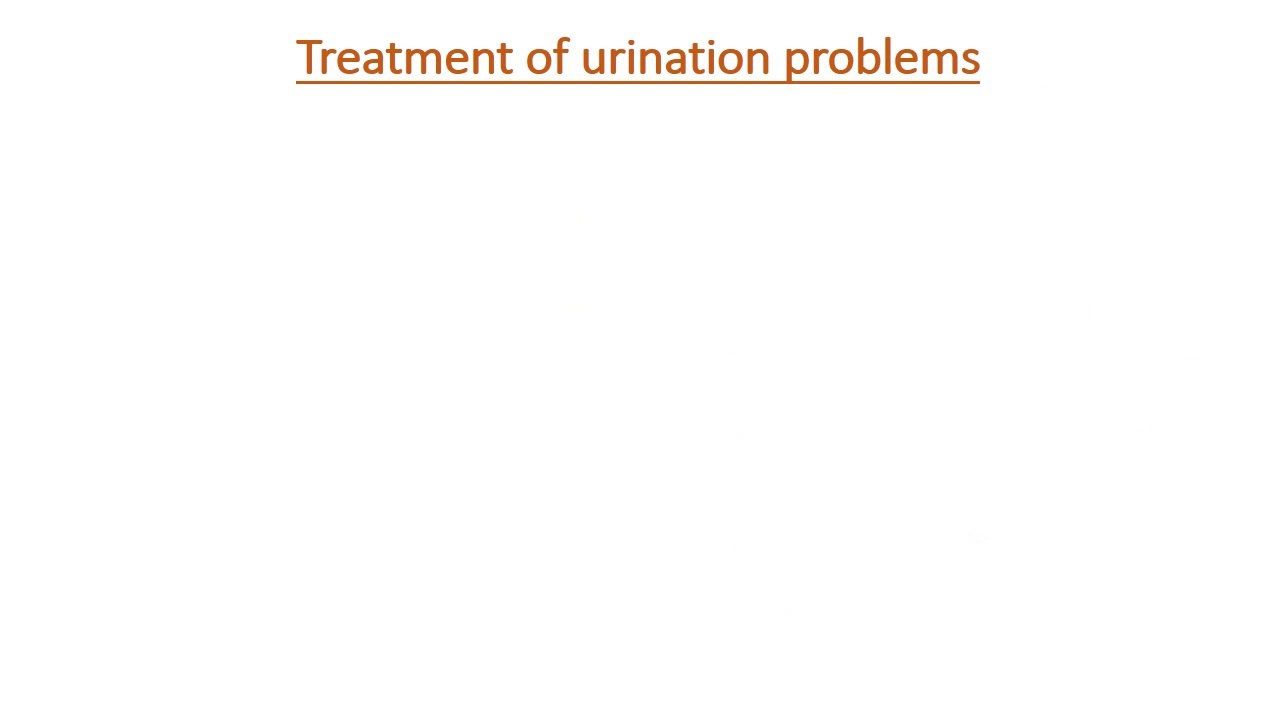 Polyuria - Frequent Urination