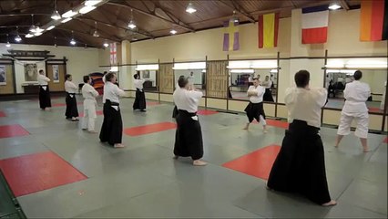 Техника Айкидо. Механика. Методика преподавания. 9