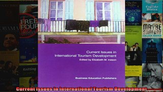 Current Issues in International Tourism Development