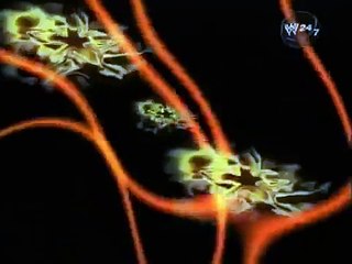 WWE-Smackdown-7_27_00-Triple-H-Gets-Busted-With- Sexy Trish-Stratus-Backstage-by